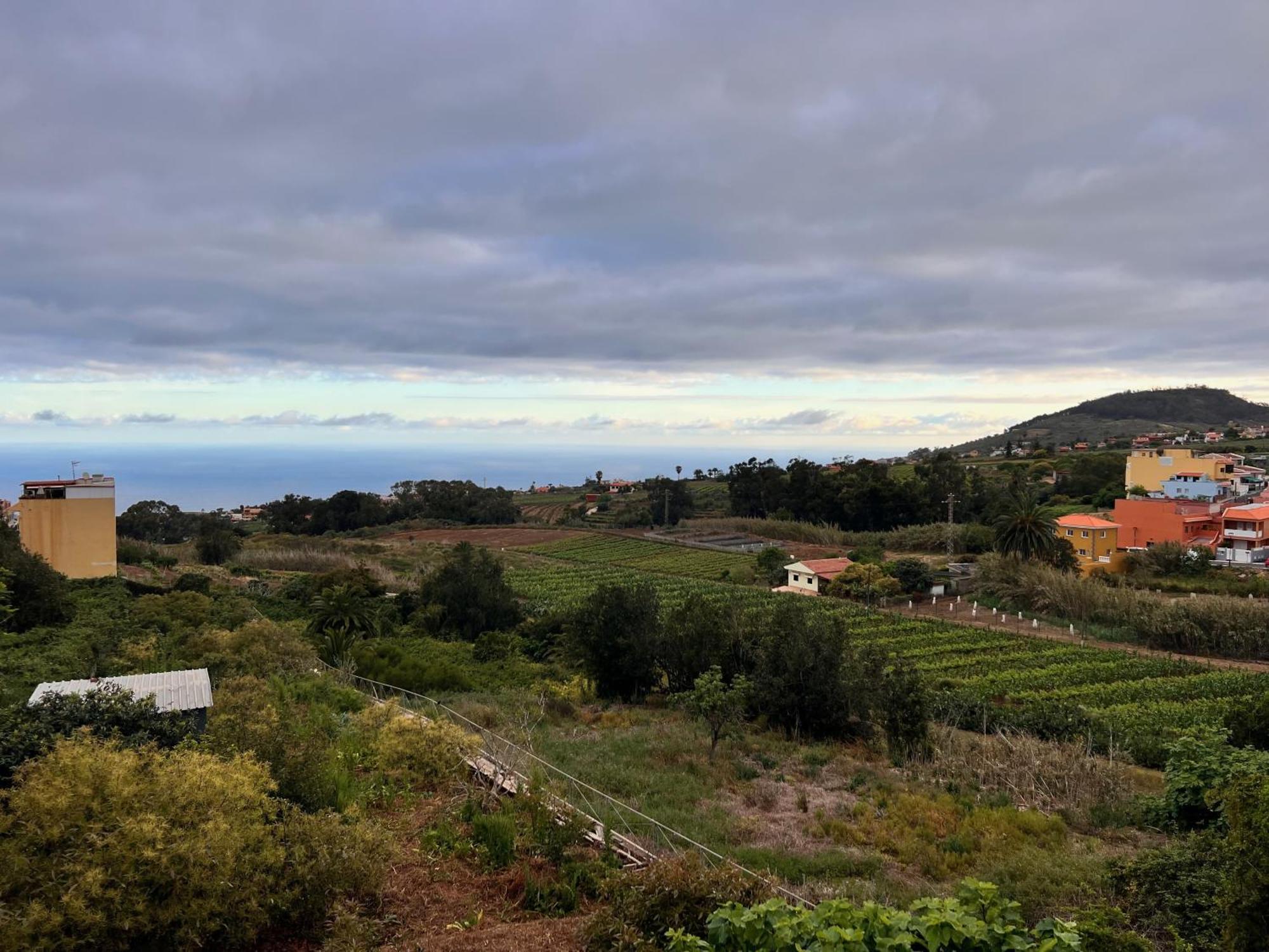 Casa Maricarmen Villa 타코론테 외부 사진